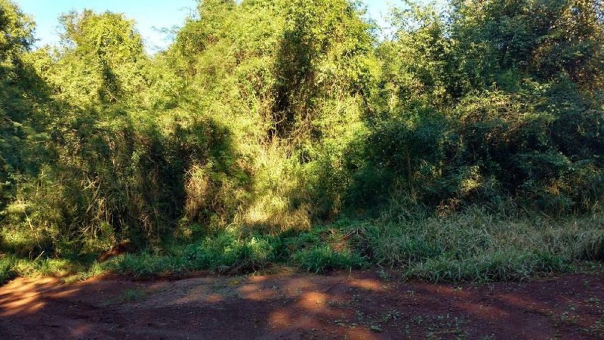 Picture of Home For Sale in Misiones, Misiones, Argentina