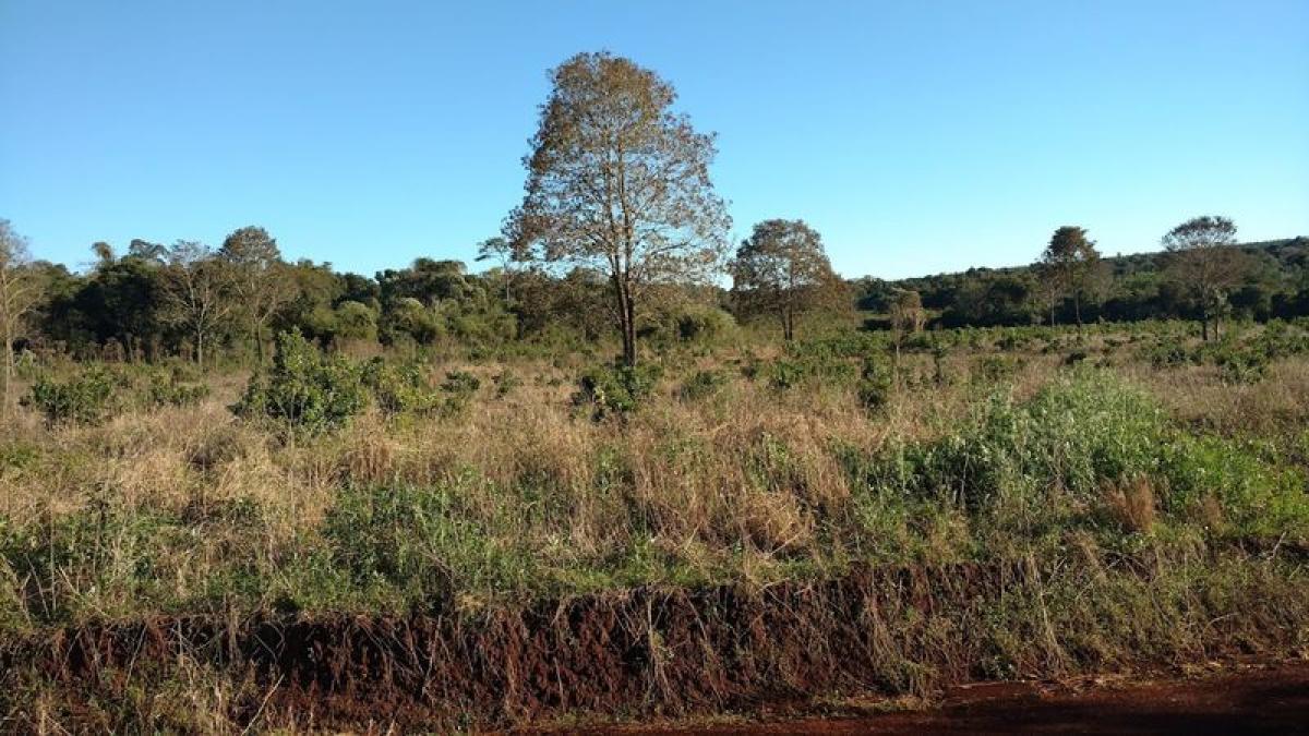 Picture of Home For Sale in Misiones, Misiones, Argentina