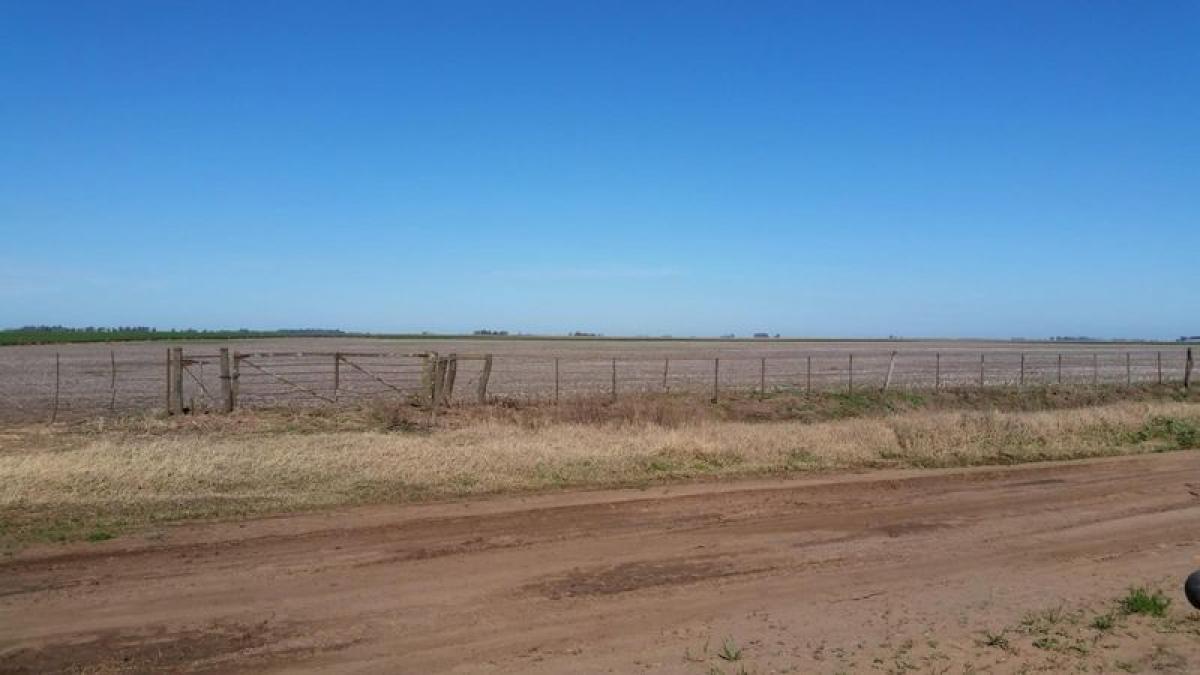 Picture of Home For Sale in Pehuajo, Buenos Aires, Argentina