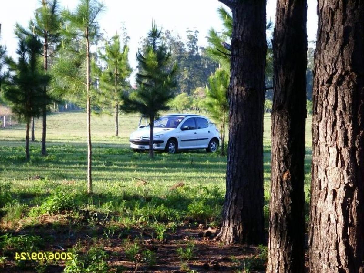 Picture of Residential Land For Sale in Corrientes, Corrientes, Argentina