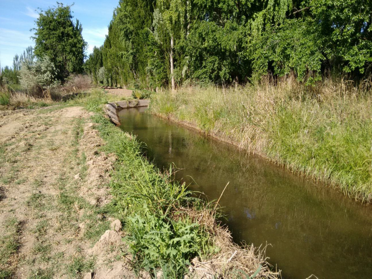 Picture of Farm For Sale in Rio Negro, Rio Negro, Argentina
