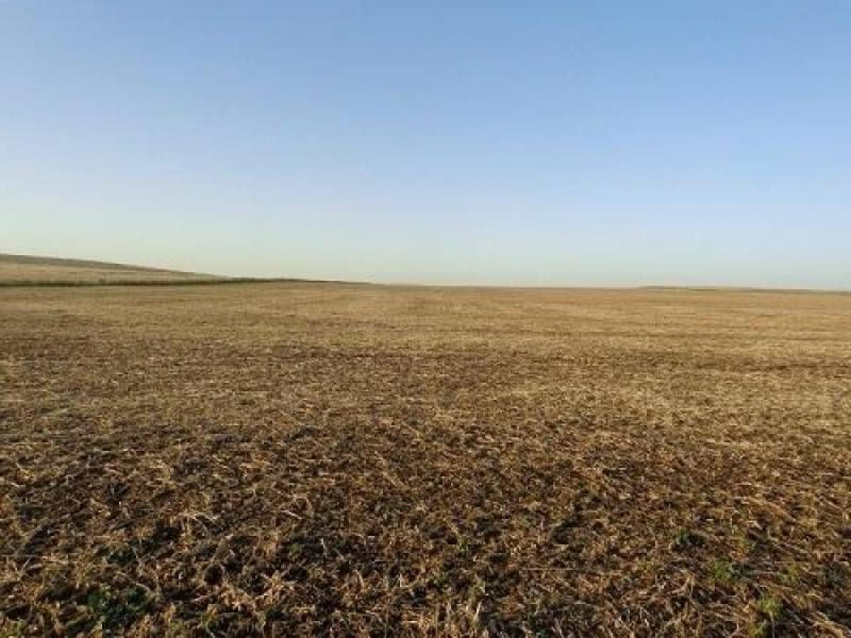 Picture of Home For Sale in Coronel Pringles, Buenos Aires, Argentina