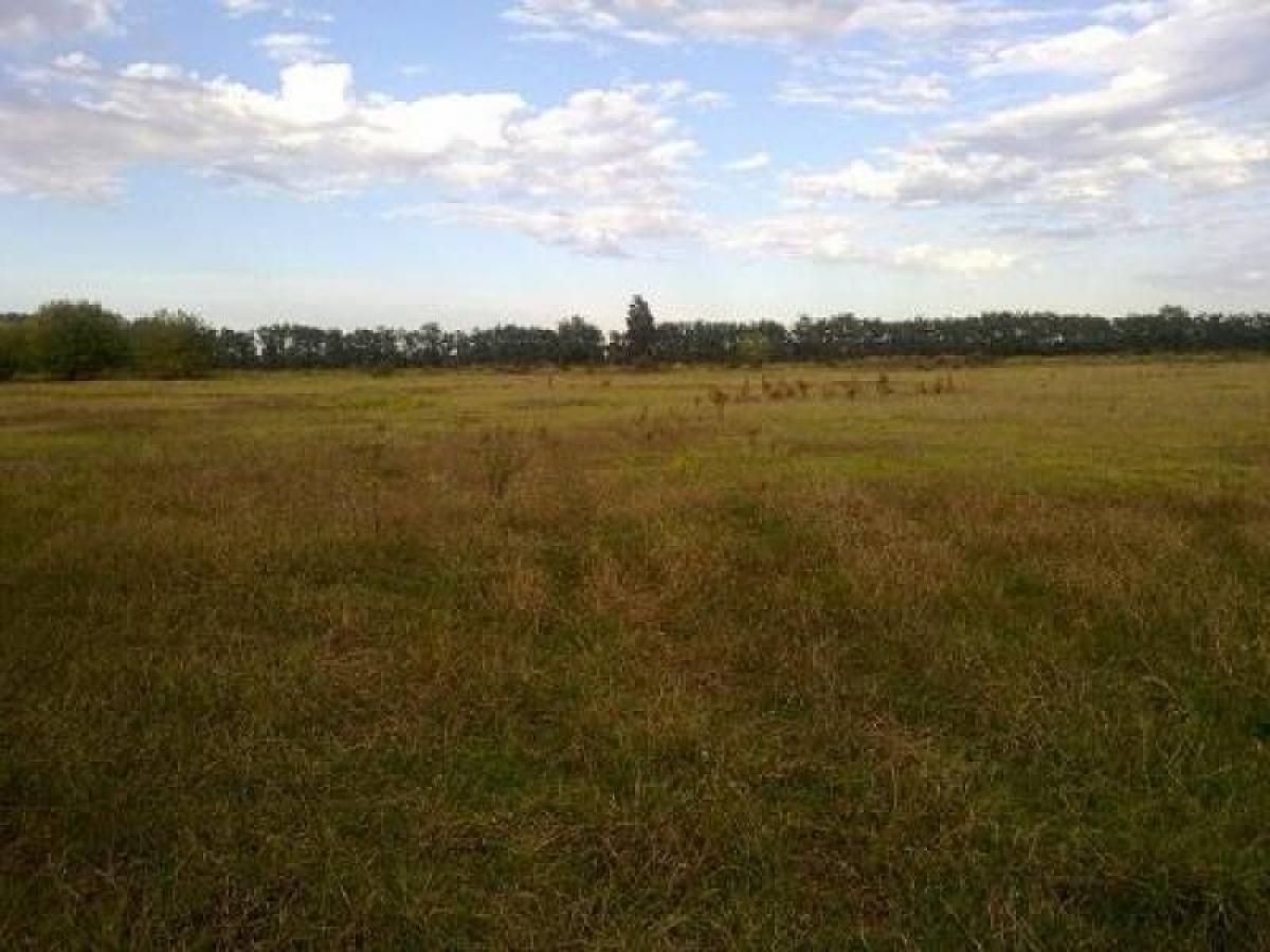 Picture of Home For Sale in Chivilcoy, Buenos Aires, Argentina