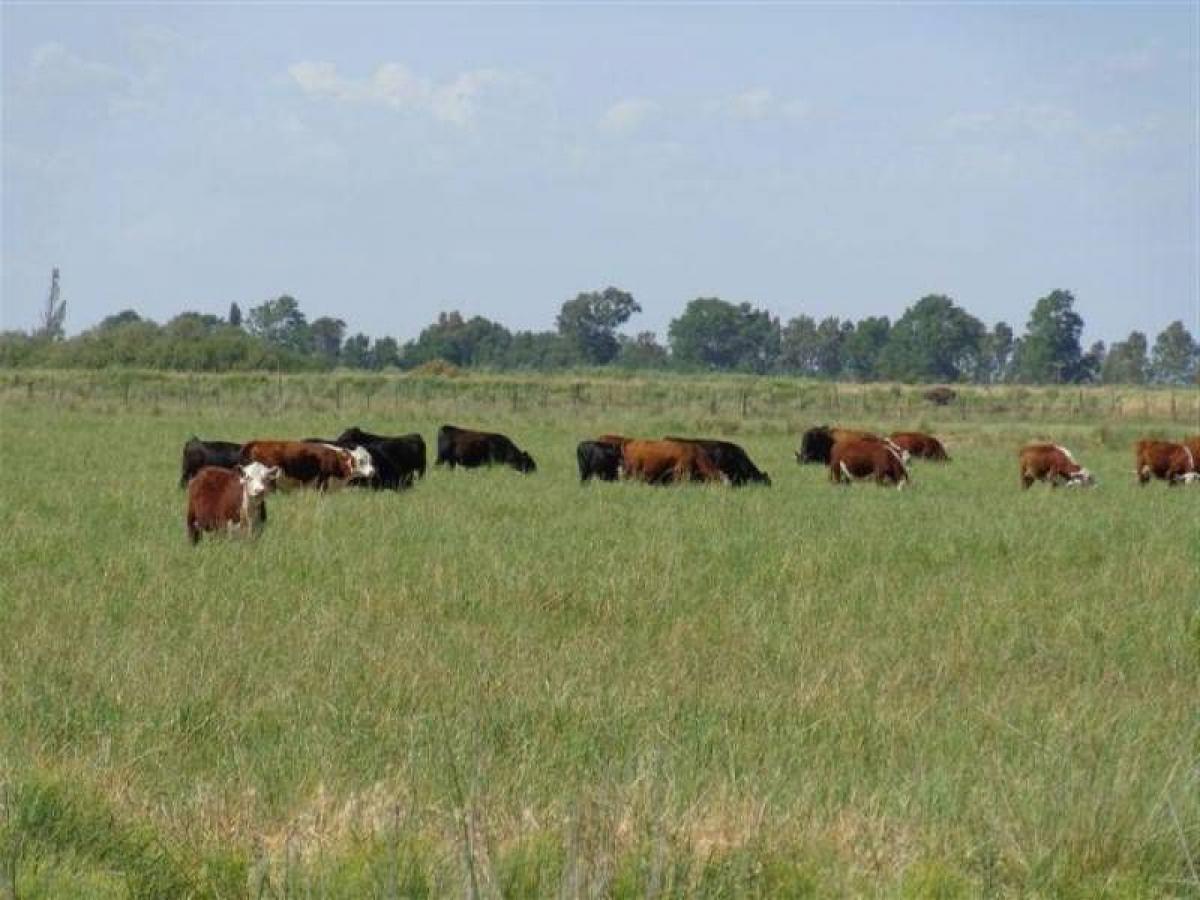 Picture of Home For Sale in La Pampa, Cordoba, Argentina