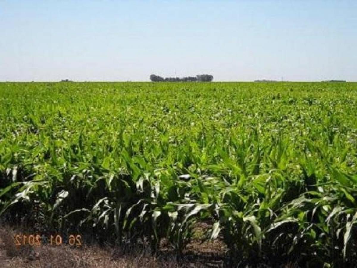 Picture of Home For Sale in Puan, Buenos Aires, Argentina