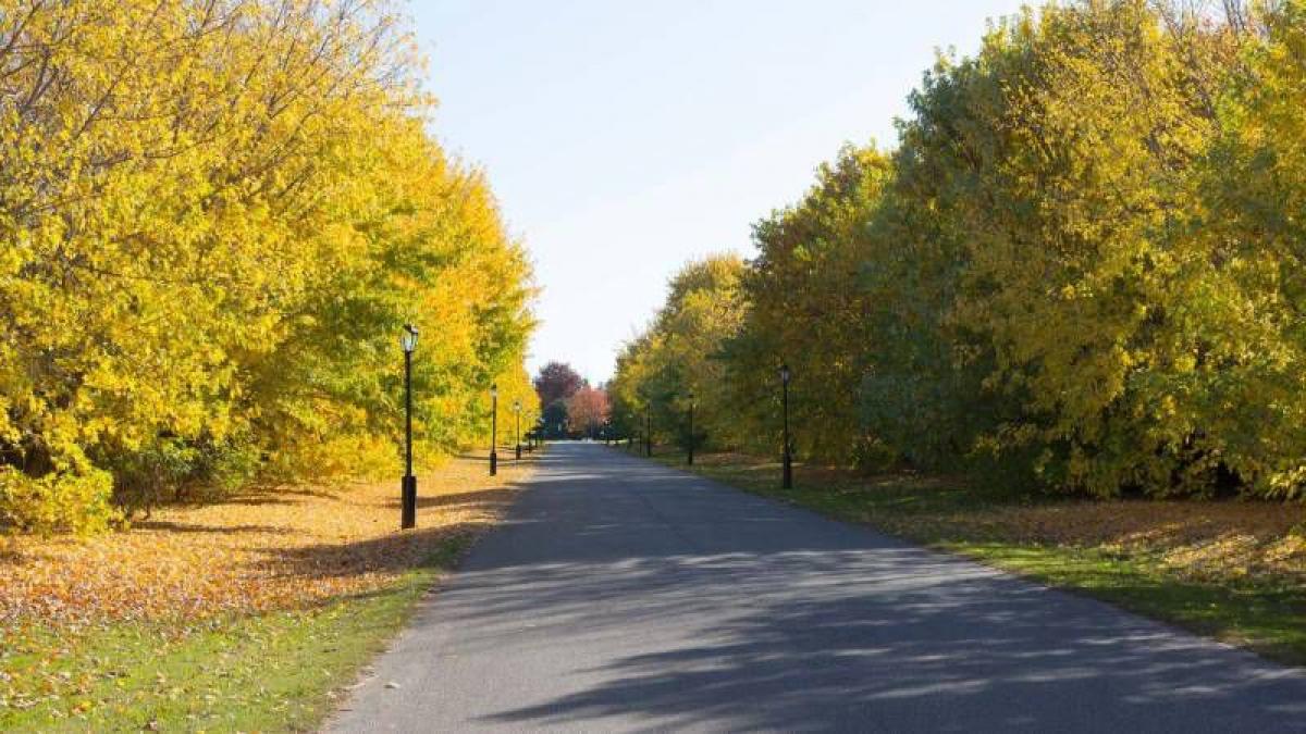 Picture of Residential Land For Sale in Berazategui, Buenos Aires, Argentina