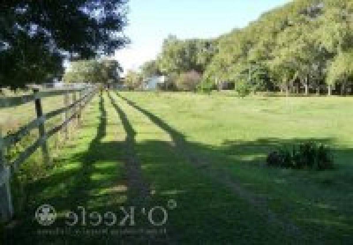 Picture of Home For Sale in Brandsen, Buenos Aires, Argentina