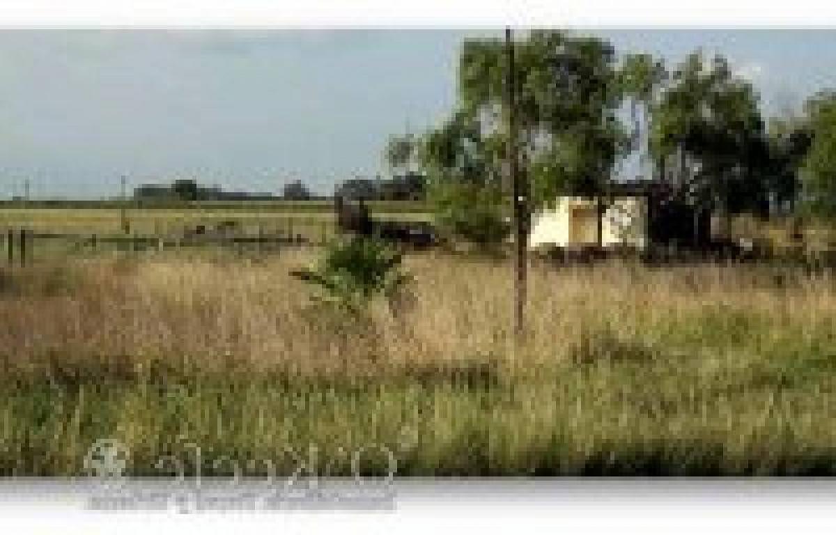 Picture of Home For Sale in Roque Perez, Buenos Aires, Argentina