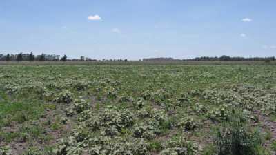 Home For Sale in Chascomus, Argentina