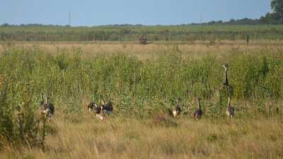 Home For Sale in Magdalena, Argentina