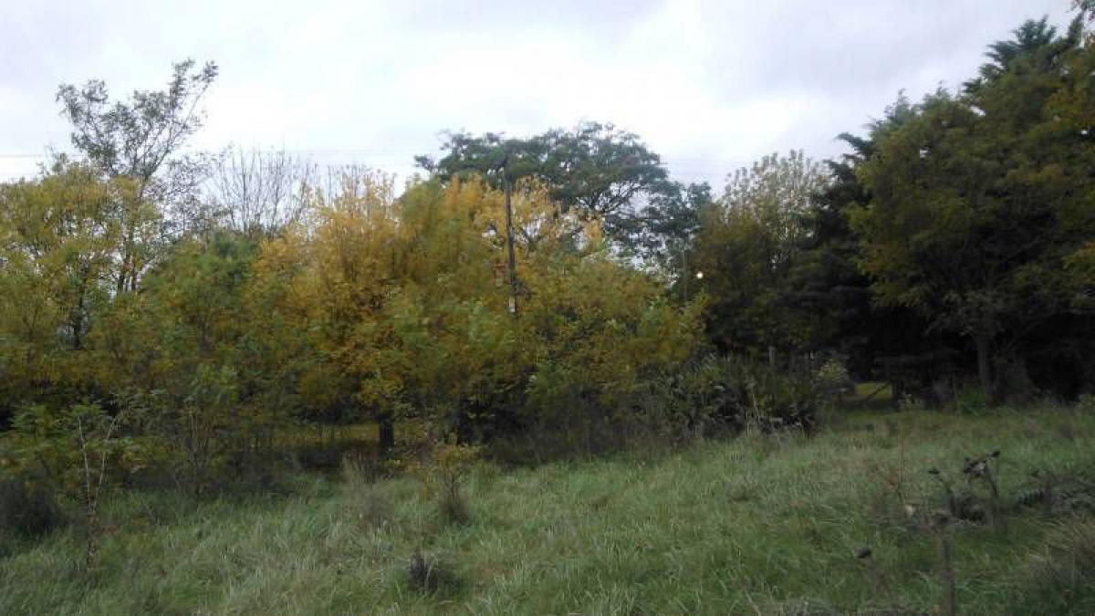 Picture of Home For Sale in Magdalena, Buenos Aires, Argentina