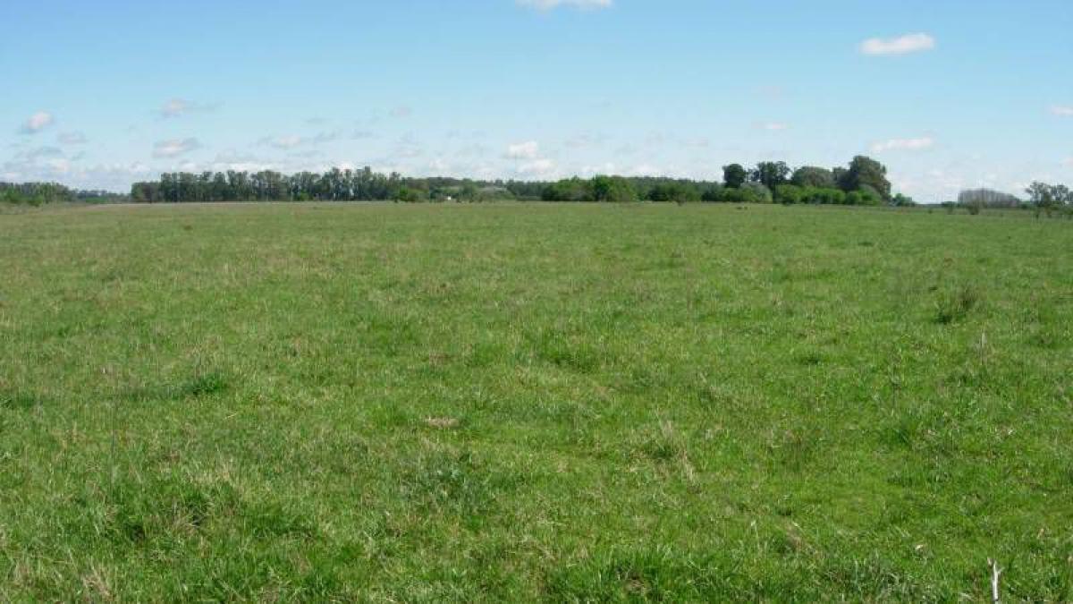 Picture of Home For Sale in Brandsen, Buenos Aires, Argentina