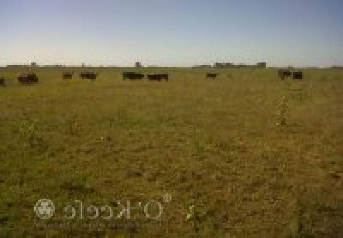 Picture of Home For Sale in Las Flores, Santiago del Estero, Argentina