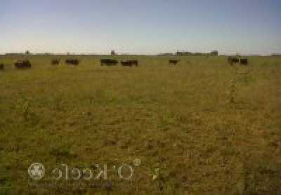 Home For Sale in Las Flores, Argentina