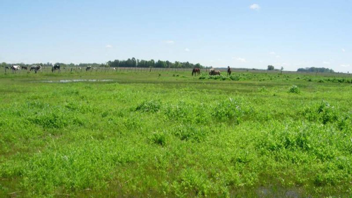 Picture of Home For Sale in Brandsen, Buenos Aires, Argentina