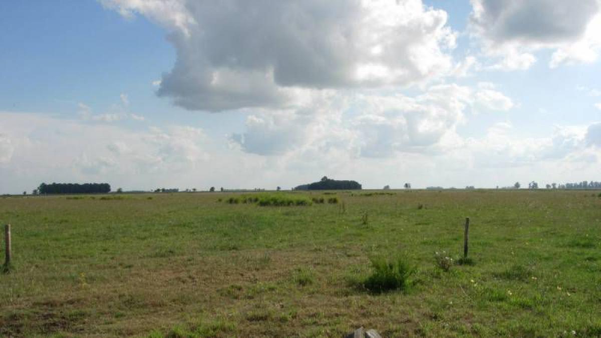 Picture of Home For Sale in Las Flores, Santiago del Estero, Argentina