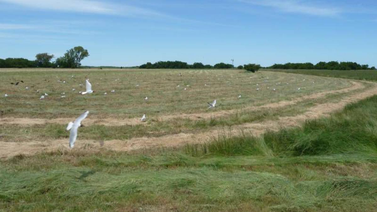 Picture of Home For Sale in Magdalena, Buenos Aires, Argentina