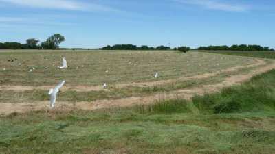 Home For Sale in Magdalena, Argentina