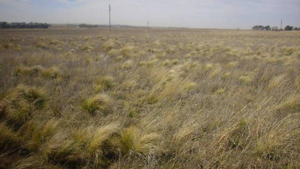 Picture of Home For Sale in Tornquist, Buenos Aires, Argentina