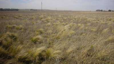 Home For Sale in Tornquist, Argentina