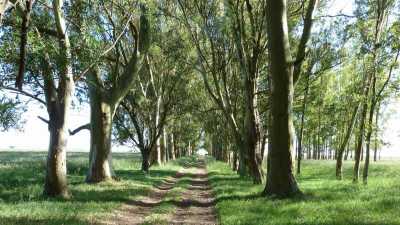 Home For Sale in General Guido, Argentina