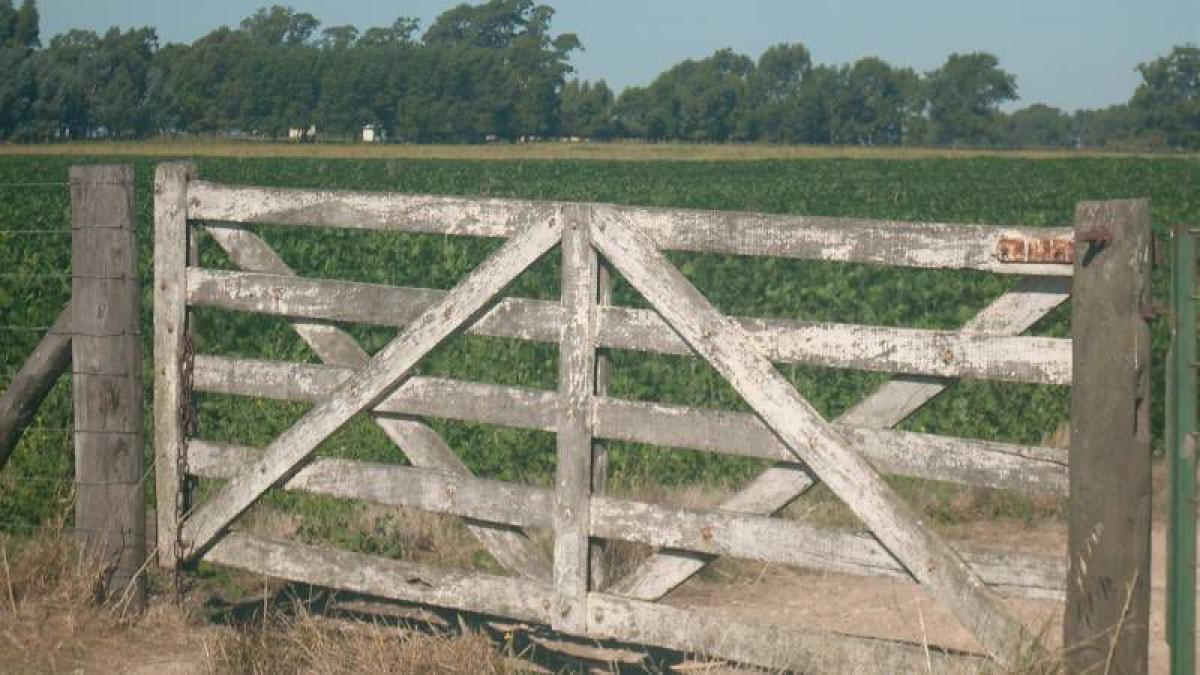 Picture of Home For Sale in Benito Juarez, Buenos Aires, Argentina