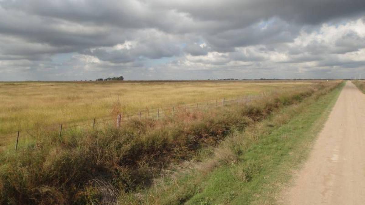 Picture of Home For Sale in Carlos Tejedor, Buenos Aires, Argentina