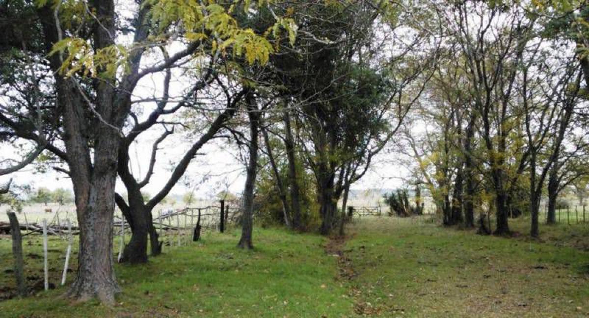 Picture of Home For Sale in Magdalena, Buenos Aires, Argentina