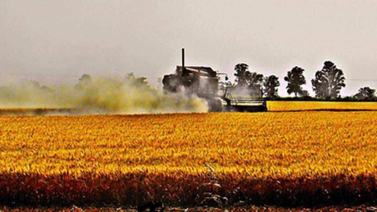 Picture of Home For Sale in Balcarce, Buenos Aires, Argentina