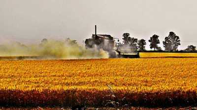 Home For Sale in Balcarce, Argentina