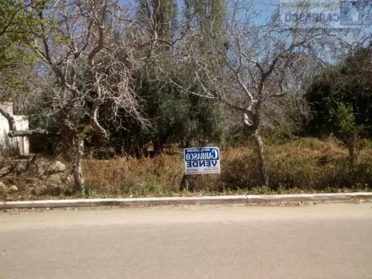 Picture of Residential Land For Sale in La Rioja, La Rioja, Argentina