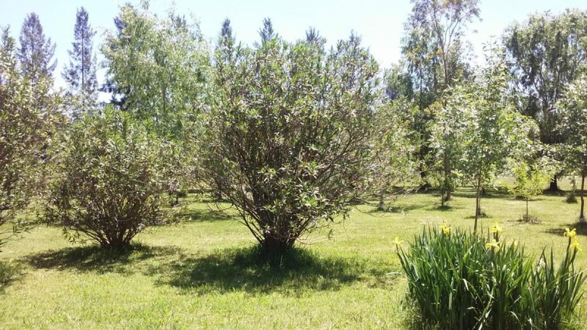Picture of Farm For Sale in Buenos Aires Interior, Buenos Aires, Argentina