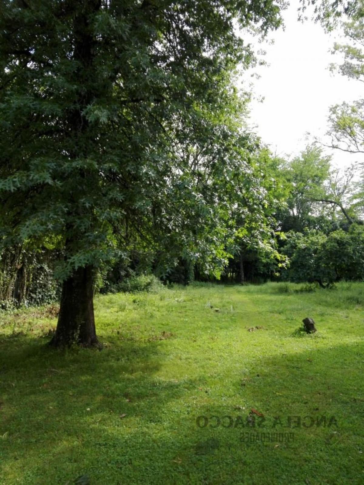 Picture of Residential Land For Sale in Exaltacion De La Cruz, Buenos Aires, Argentina