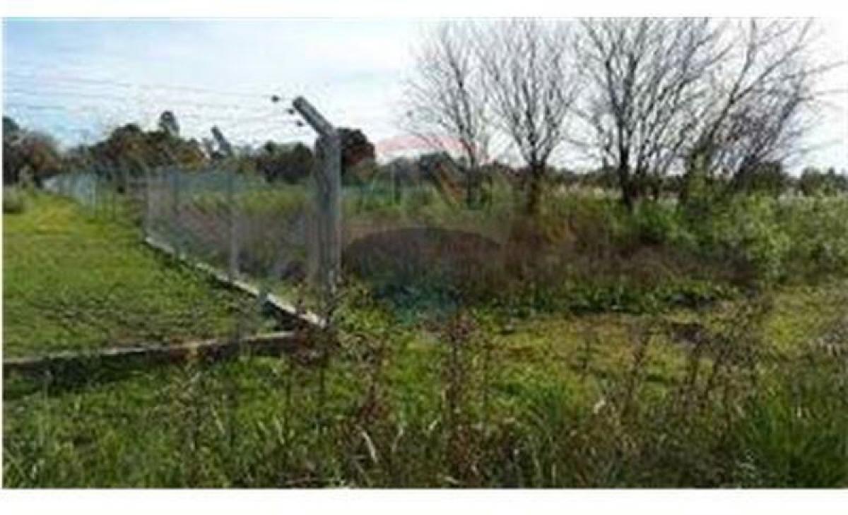 Picture of Residential Land For Sale in Pilar, Santa Fe, Argentina