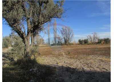 Residential Land For Sale in Mendoza, Argentina