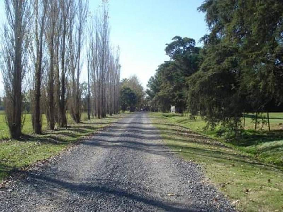 Picture of Residential Land For Sale in San Pedro, Buenos Aires, Argentina