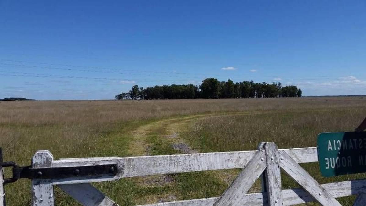 Picture of Home For Sale in Maipu, Buenos Aires, Argentina