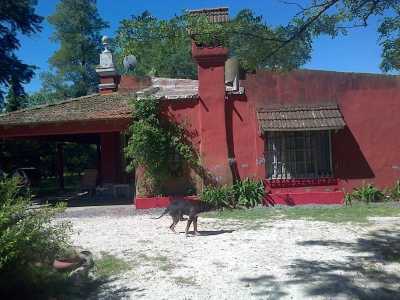 Farm For Sale in Canuelas, Argentina