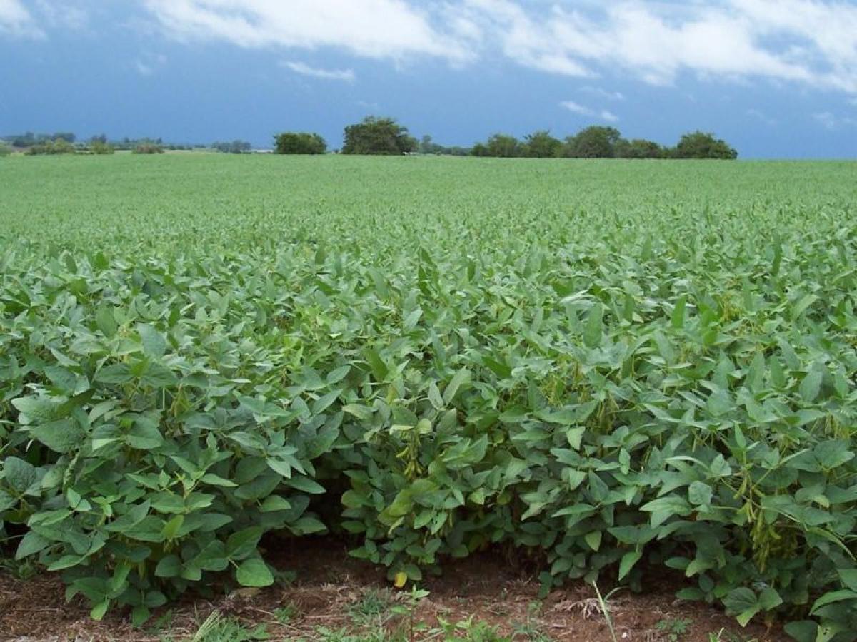 Picture of Home For Sale in General Paz, Buenos Aires, Argentina