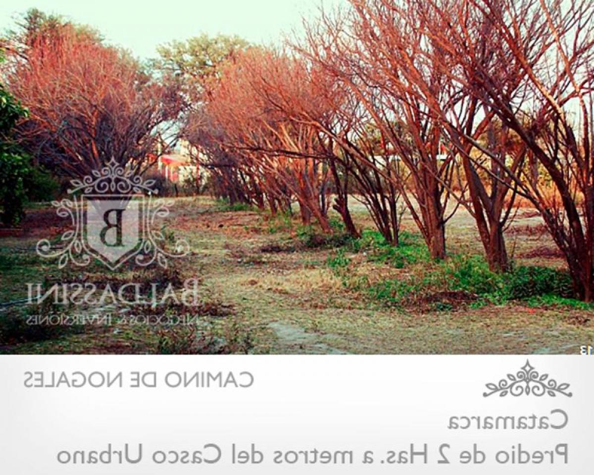 Picture of Residential Land For Sale in Catamarca, Catamarca, Argentina