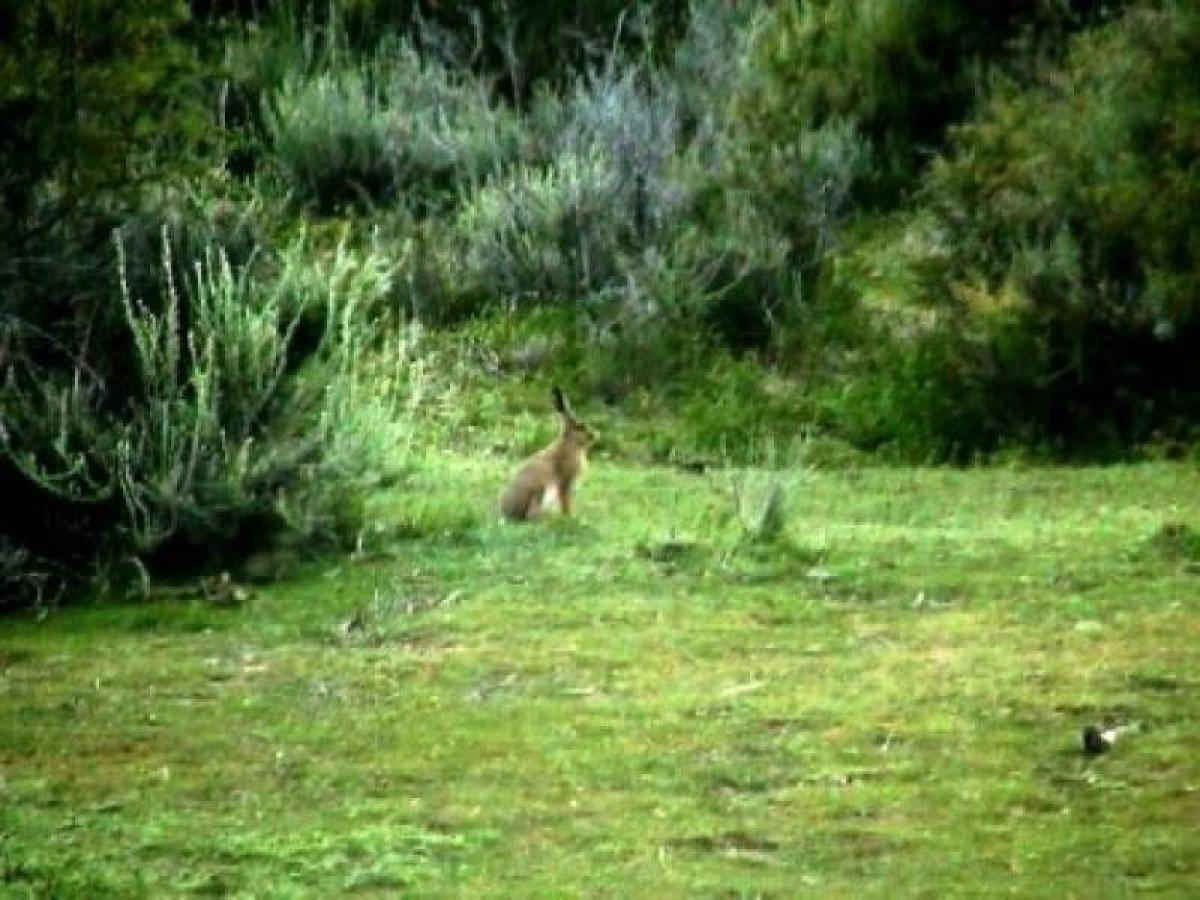 Picture of Home For Sale in Santa Cruz, Santiago del Estero, Argentina