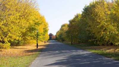 Residential Land For Sale in 