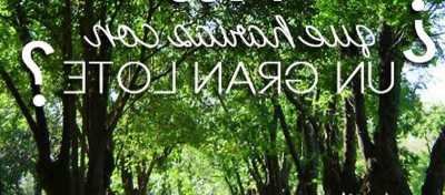 Residential Land For Sale in Trenque Lauquen, Argentina