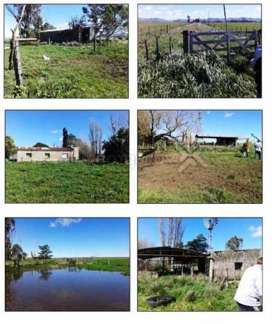 Home For Sale in Saavedra, Argentina