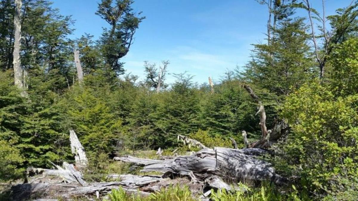 Picture of Residential Land For Sale in Tierra Del Fuego, Tierra del Fuego, Argentina