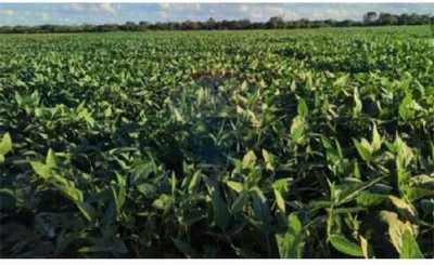 Home For Sale in Presidente Peron, Argentina