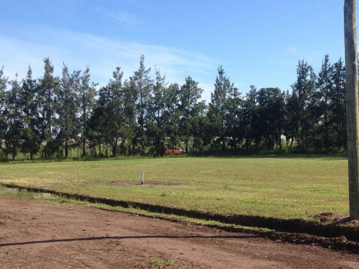 Picture of Residential Land For Sale in Capitan Sarmiento, Buenos Aires, Argentina