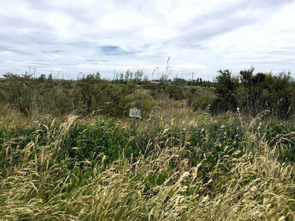Picture of Residential Land For Sale in Chubut, Chubut, Argentina