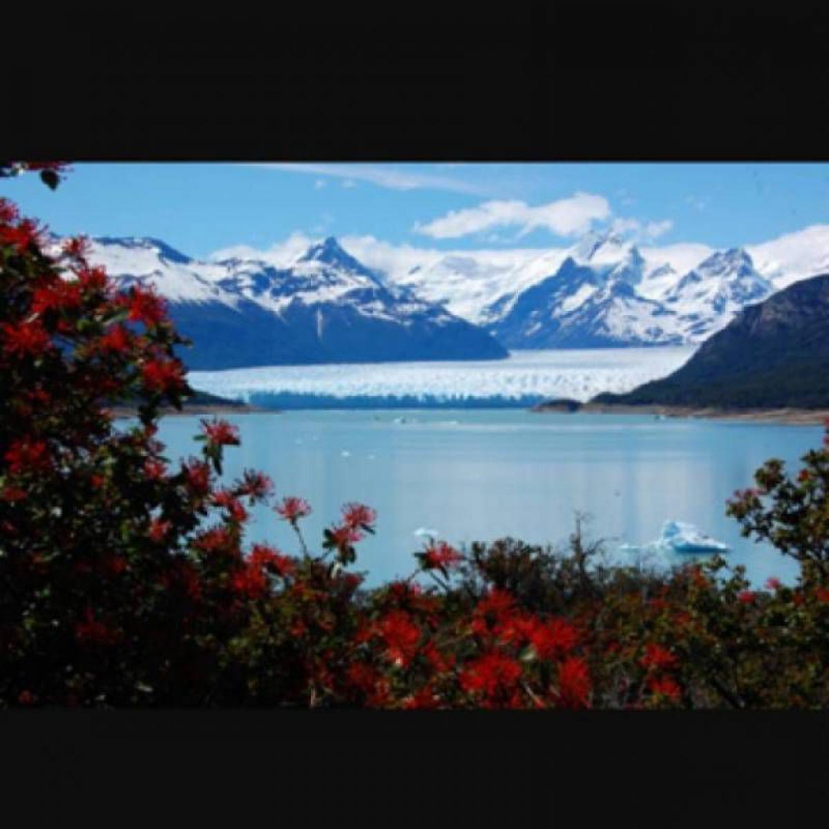 Picture of Residential Land For Sale in Santa Cruz, Santiago del Estero, Argentina