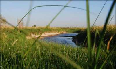 Residential Land For Sale in Bs.As. G.B.A. Zona Oeste, Argentina